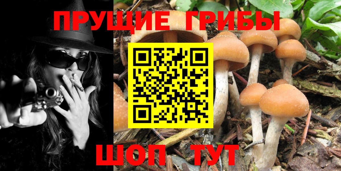 Галлюциногенные грибы Magic Shrooms Нурлат