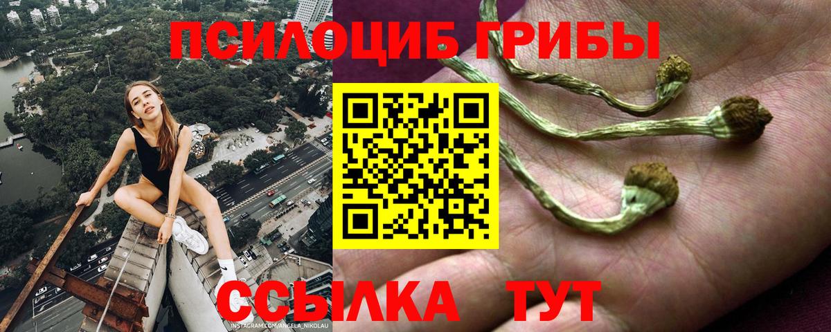 Галлюциногенные грибы Psilocybe  Вход с VPN  Псилоцибиновые грибы мицелий  Нурлат 